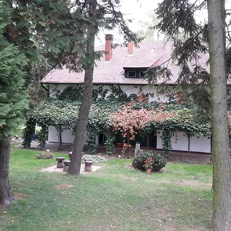 Bed & Breakfast Vadaszhaz